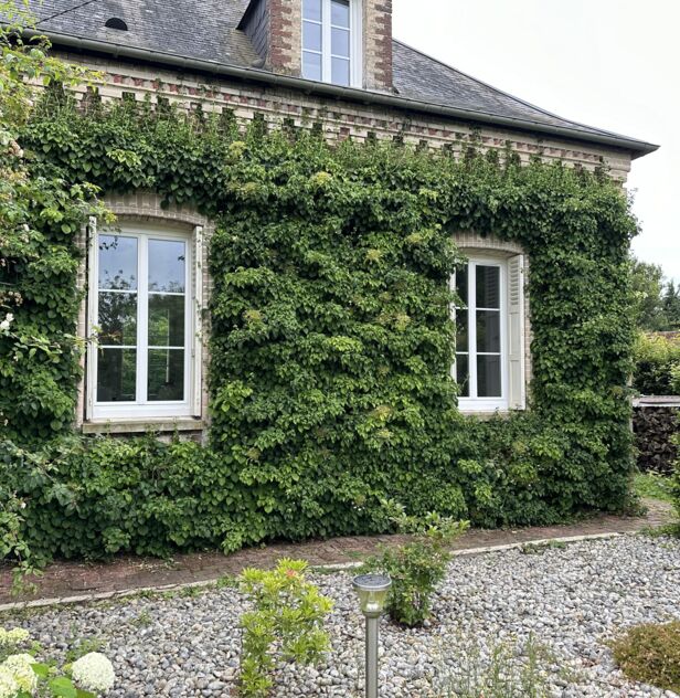 Maison style cottage